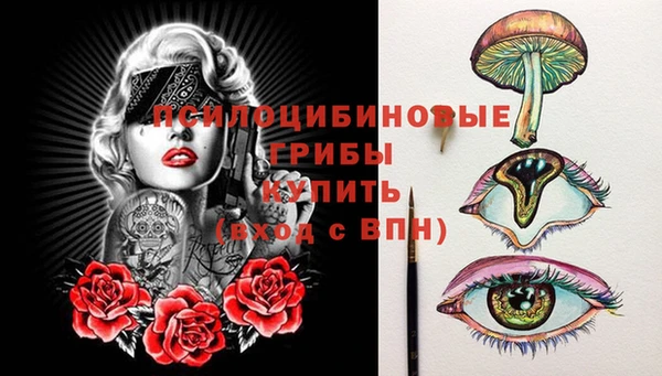 герыч Арсеньев