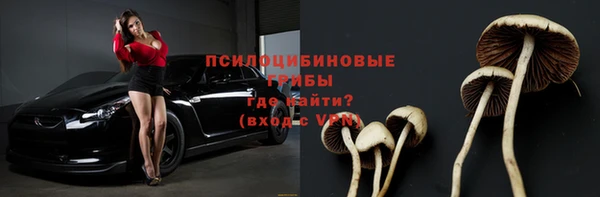 хмурый Армянск