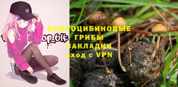 герыч Арсеньев