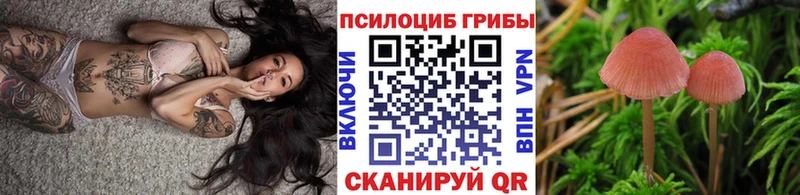 Галлюциногенные грибы прущие грибы  Бавлы 